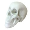 Cráneo Caveira (marfil)