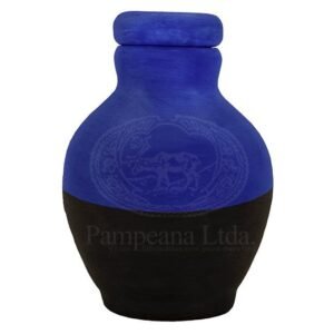 Cuartiña Azul y Negro