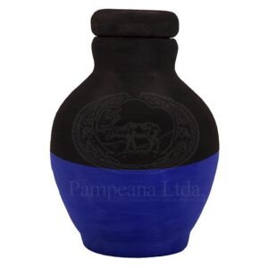 Cuartiña Negro y Azul