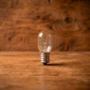 Lamparita para lámpara de sal